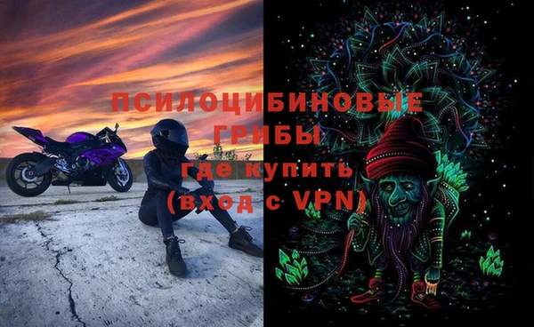 первитин Алексин